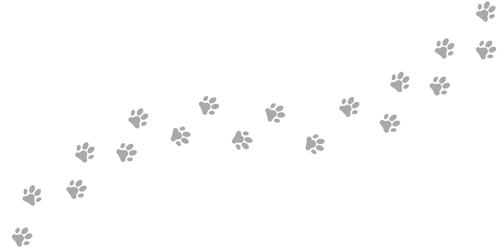 paw print pattered background